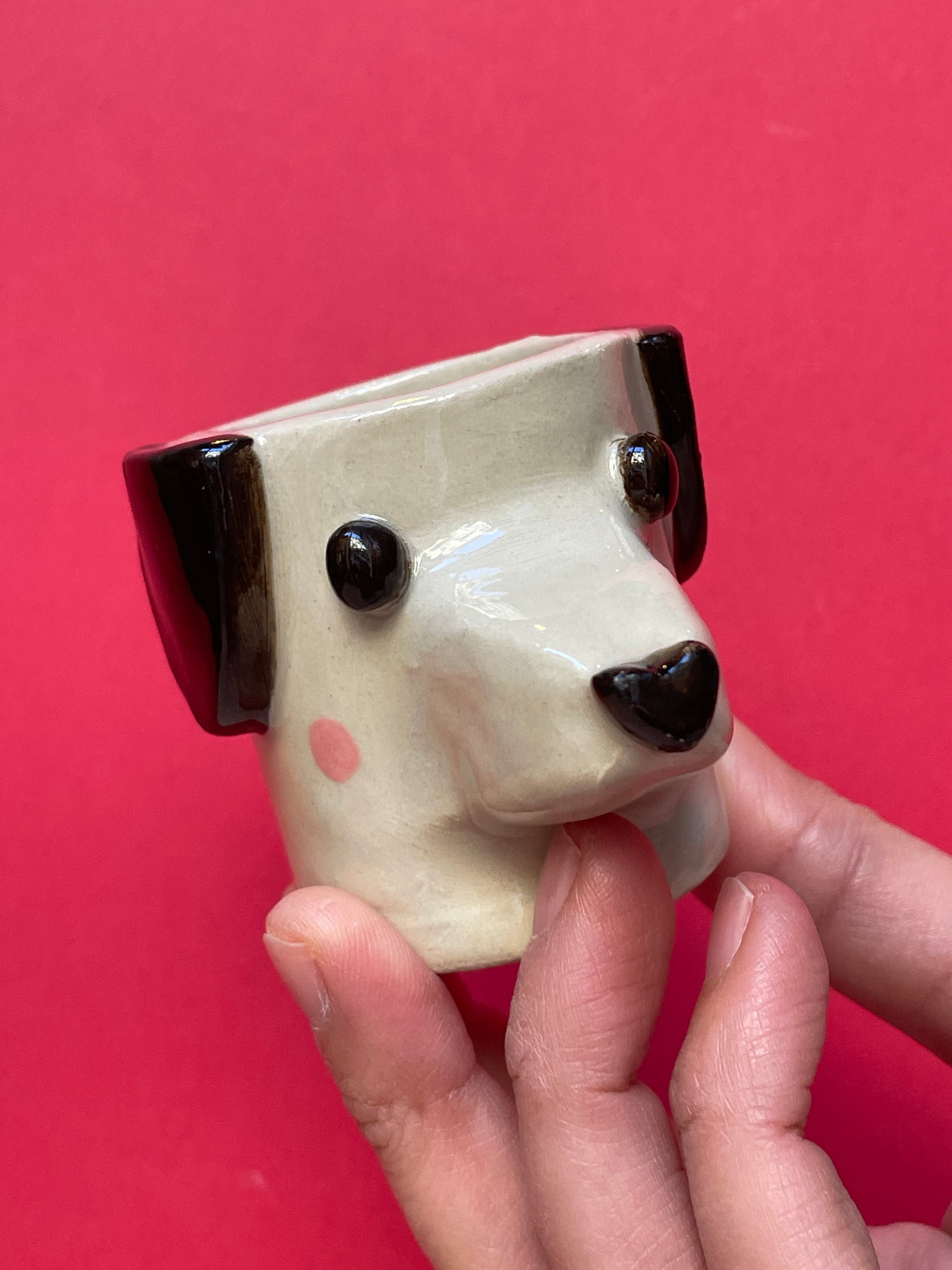 Tazzina cane Bianco e nero